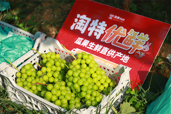 2022中国农民丰收节开幕，淘特联动全国16省优选2000多款农产品打造丰收消费季