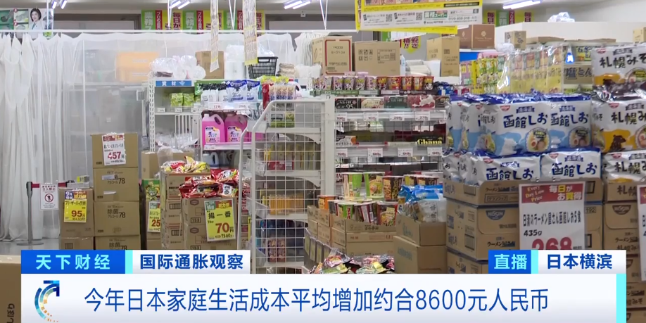 日本年内最大规模“涨价潮”！超6500种食品或涨价！消费者忙囤货……