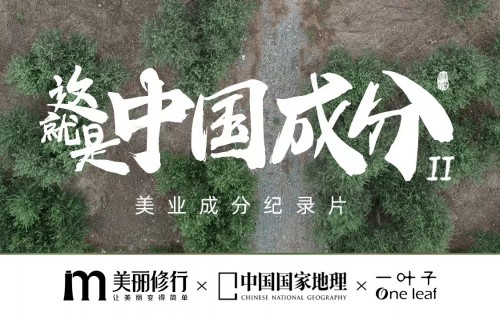 《这就是中国成分》正式上线，揭秘一叶子原料之乡陇南油橄榄