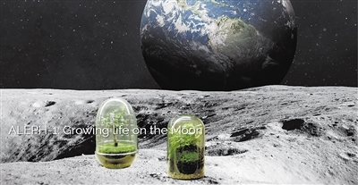 上月球种植物 太空花园离我们有多远？