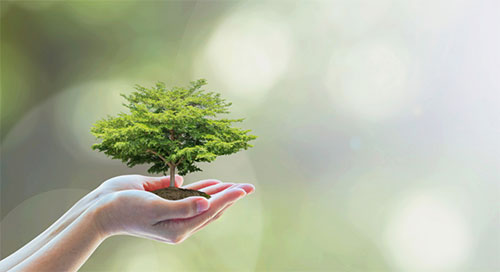和治友德|植树节:为祖国添绿 为健康充“植”