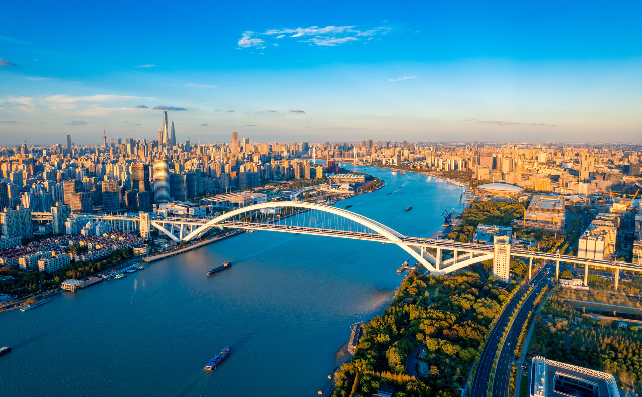 上海首轮第二场土拍揽金118.86亿，民企龙湖、大华溢价拿地